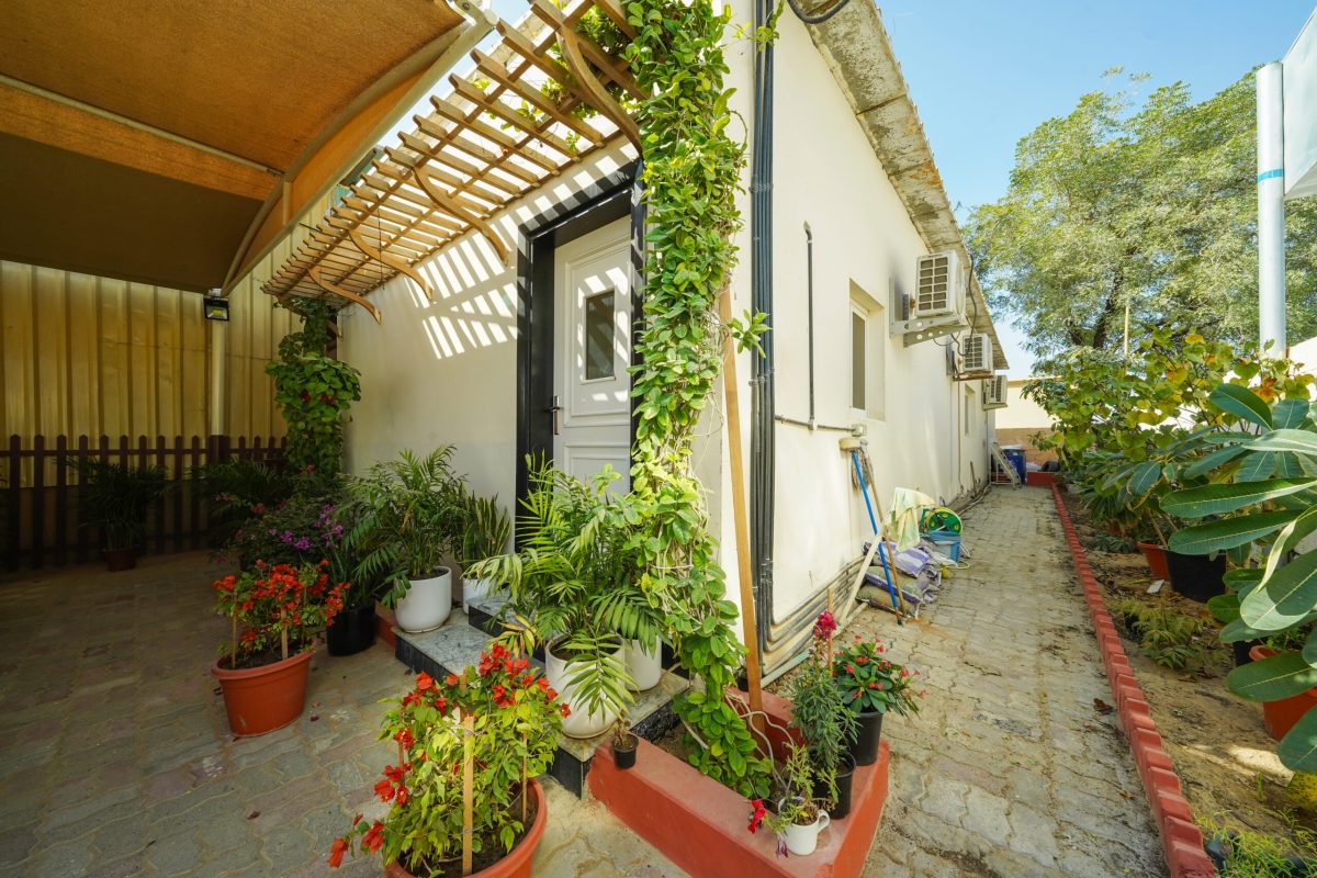 Painting kitchen cabinets